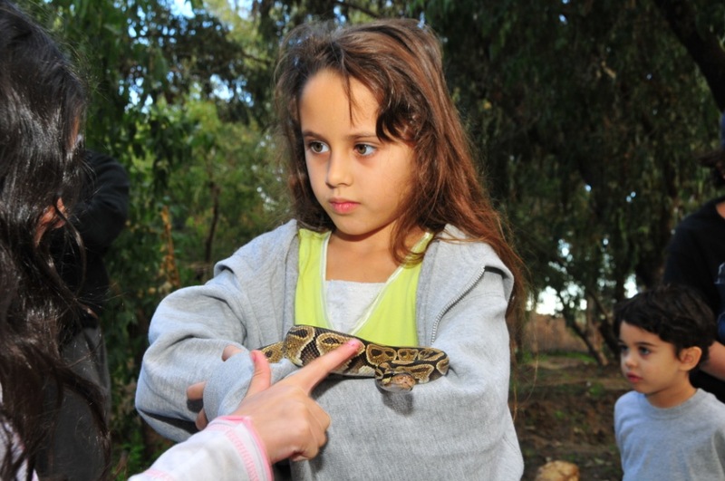 יום הולדת חיות, הפעלה עם חיות, יום הולדת עם חיות, מפעיל חיות ליום הולדת, ימי הולדת עם חיות