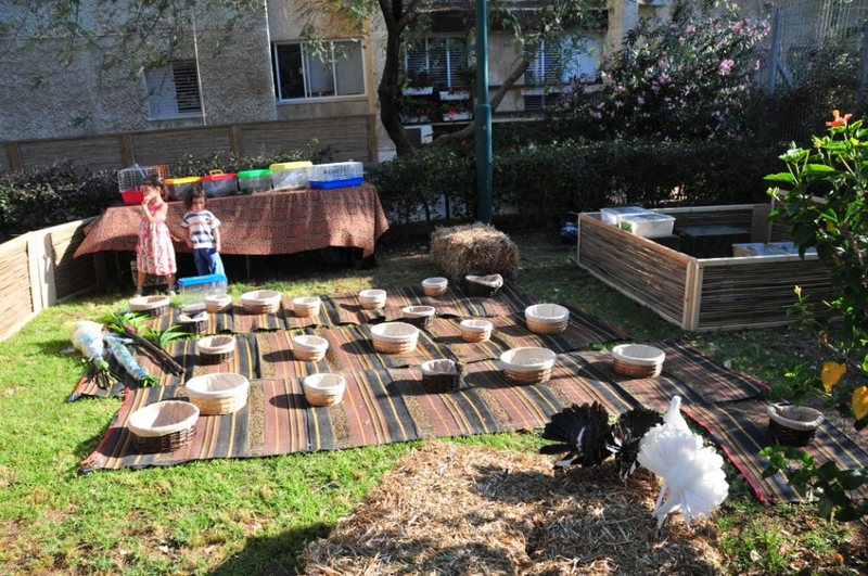 יום הולדת חיות, הפעלה עם חיות, יום הולדת עם חיות, מפעיל חיות ליום הולדת, ימי הולדת עם חיות