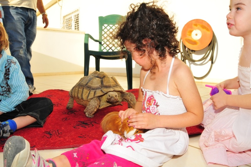 יום הולדת חיות, הפעלה עם חיות, יום הולדת עם חיות, מפעיל חיות ליום הולדת, ימי הולדת עם חיות